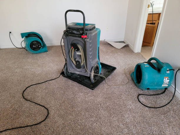 Best Flood restoration services  in Strongsville, OH