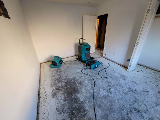 Best Carpet water damage restoration  in Strongsville, OH