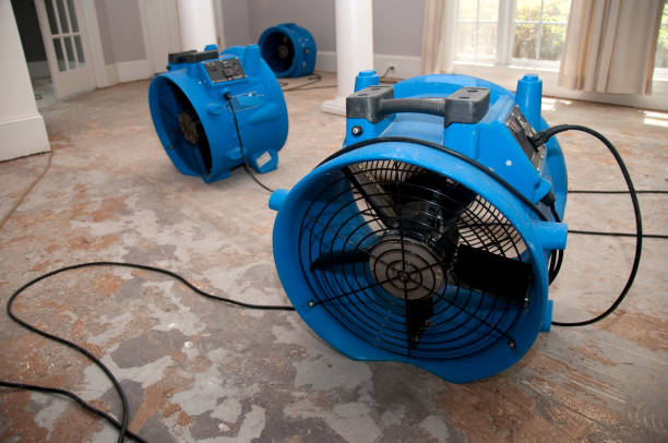 Best Water damage cleanup near me  in Strongsville, OH