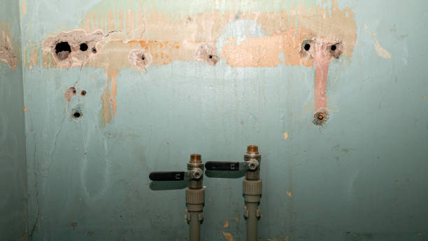 Best Water damage restoration near me  in Strongsville, OH