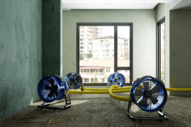 Best Local water damage restoration  in Strongsville, OH